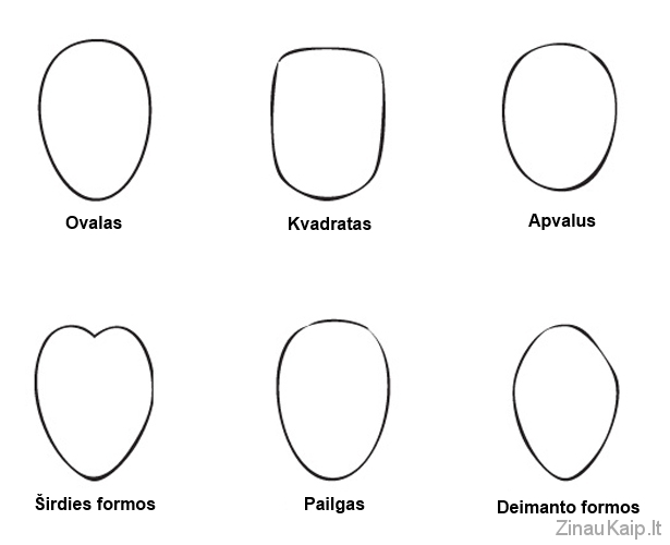 kaip nustatyti veido forma1 Kaip nustatyti veido formą