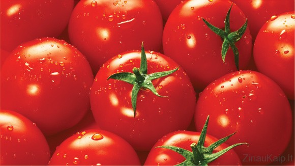 Kaip sodinti pomidorus | Pomidorų auginimas