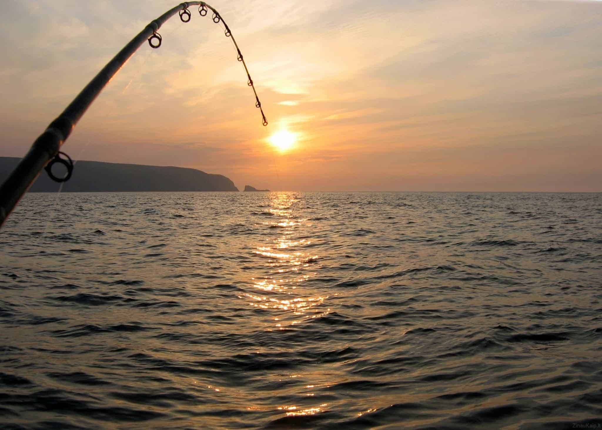 Kaip pasiruošti rudeninei žūklei: efektyvi atributika sėkmingai žvejybai