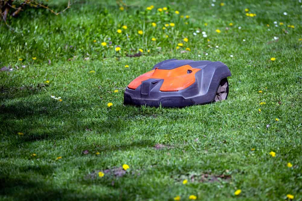 Kodėl genda vejos robotas? Dažniausios priežastys